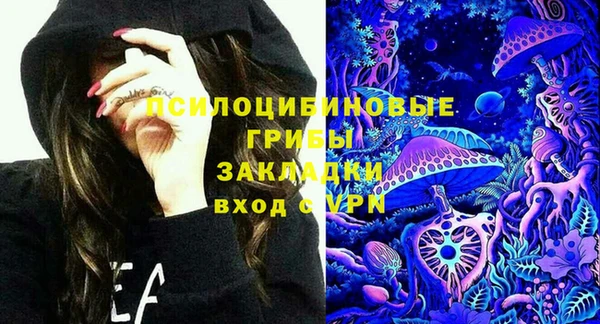 дживик Касимов
