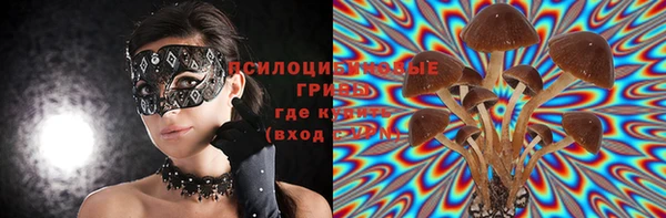 дживик Касимов